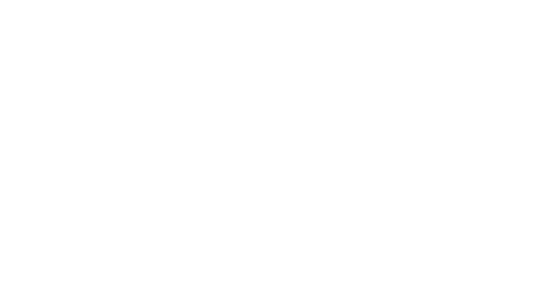 Chiropractic Rock Hill SC Brothers Clinic of Chiropractic Rock Hill Logo